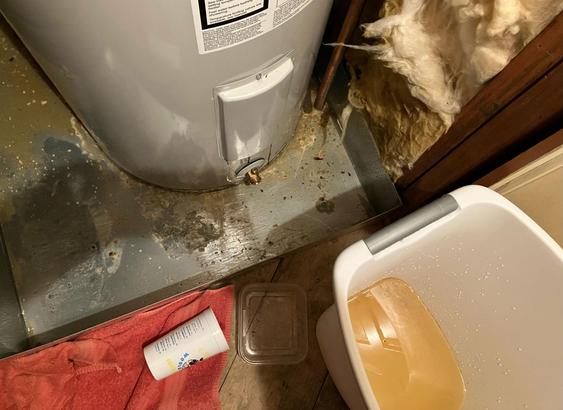 Inside my attic, the water heater has declared "Bah Humbug" and begun leaking. There's a retention pan with a drain, but it too apparently leaks, because there's a water stain on the ceiling directly downstairs. A trash can with several gallons of rusty dirty water inside is visible from my attempts to bail out the pan.