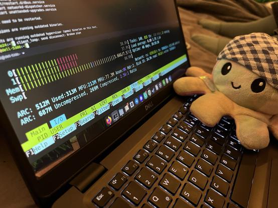 Tiny sitzt auf Laptop und schaut bei htop zu