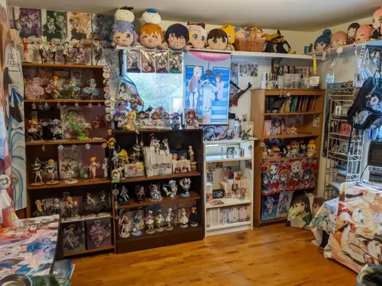 A wall of manga and animi merch. Mainly GochiUsa