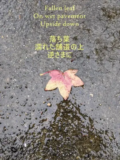 A single red and yellow leave face down on a wet sidewalk.
Poem as in message