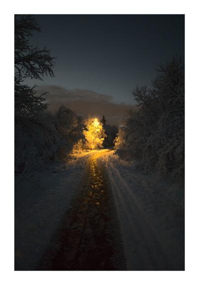 A serene winter scene of a snow-covered path illuminated by a single streetlamp. The golden light from the lamp reflects off the icy path, creating a warm glow that contrasts with the cold, dark surroundings. Snow-laden trees frame the path on either side, while a dark blue sky provides a peaceful backdrop.