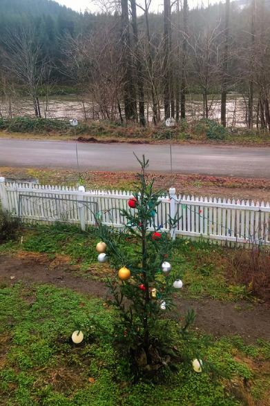 A simple outdoor Christmas tree adorned with red, gold, and silver ornaments stands in a grassy yard. A white picket fence lines the edge of the property, and a quiet rural road lies beyond it. In the background, leafless trees and a flowing river and mountains beyond add a peaceful, wintry ambiance.