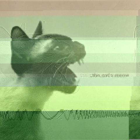 Cat's Meow from the Offner Dynograph EEG