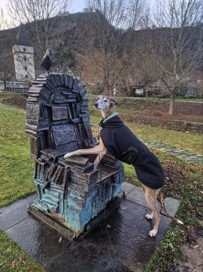 Pina Galgoespanol steht mit den Vorderpfoten auf dem Rabenstul der Poesie in Bacharach, sie trägt einen schwarzen Mantel