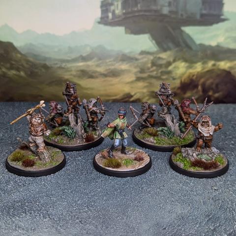Princess Leia and 8 Ewoks