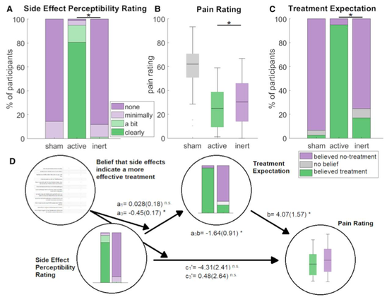 The data show that mild side effects can serve as a signal for effective treatment thereby influencing treatment expectations and outcomes, which is mediated by the descending pain modulatory system. Using these mechanisms in clinical practice could provide an efficient way to optimize treatment outcome. In addition, our results indicate an important confound in clinical trials, where a treatment (with potential side effects) is compared to placebo.

https://doi.org/10.1093/brain/awae132