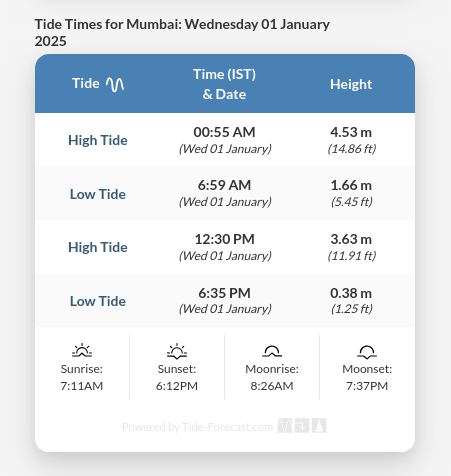 screengrab of tide chart for 1st January, where the lowest tide of 0.38m is at 6:35 pm and sunset at 6:12pm.