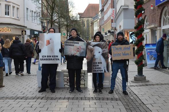 vier leute halte in der fußgänger:innenzone schilder mit veganen botschaften "ich bin kein gänsebraten" steht auf einem weißen schild mit einer gans drauf