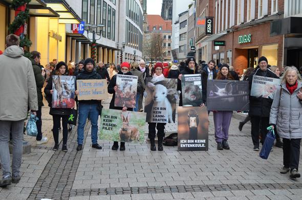 die sieben aktivis stehen als gruppenfoto aufgereiht in der ludgeristraße