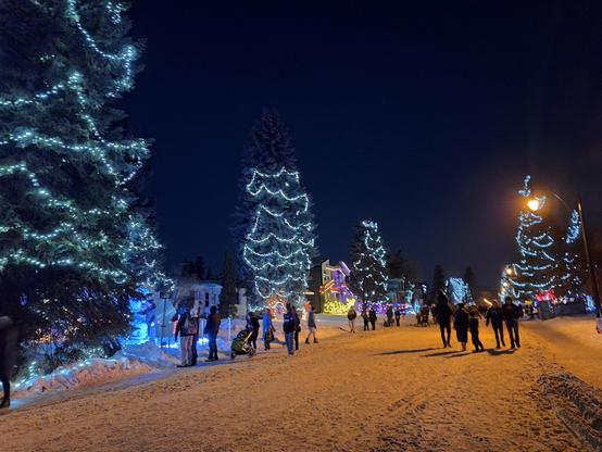 A view of Candy Cane Lane from the street. The sky is dark, and four large trees are decorated with white strings of lights. There are multiple groups of people walking about, no cars visible, and the houses lining the street are lit up with different colours.