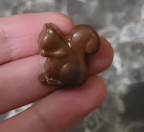 Een chocolaatje in de vorm van een Eekhoorn