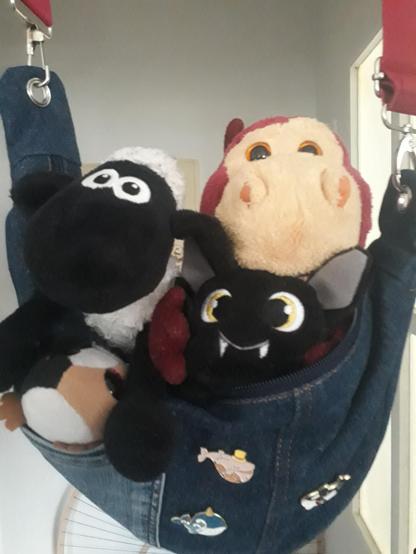 Sean, Rüdiger und ich sitzen in der aus Jeans genähten Tasche.
HorstIAne hat eine Kleine Tasche an die Vorderseite genäht und da sitzt Buster drin.