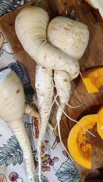 Two cleaned parsnips. One has wrapped itself around the other. A few other chopped vegetables lie about.