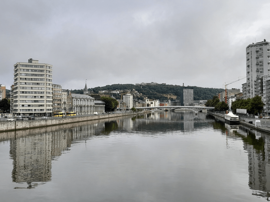 A gloomy view of a river that runs through Liège. In the distance is a white bridge and along the river are buildings, some older and smaller and some grey high rise apartment buildings.