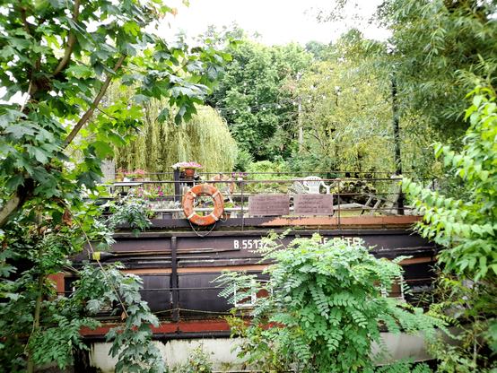 Part of a houseboat with some bushes in the front and trees behind it. On top of the boat are a few chairs and some plants.