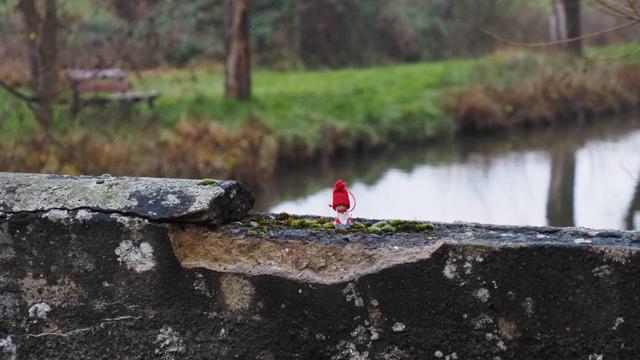 Wichtel auf einer Mauer, Wasser im Hintergrund