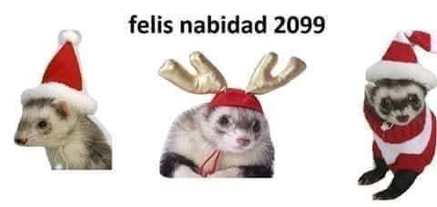 Es un banner con tres hurones con gorritos navideños y la frase "felis nabidad 2099" mal escrita