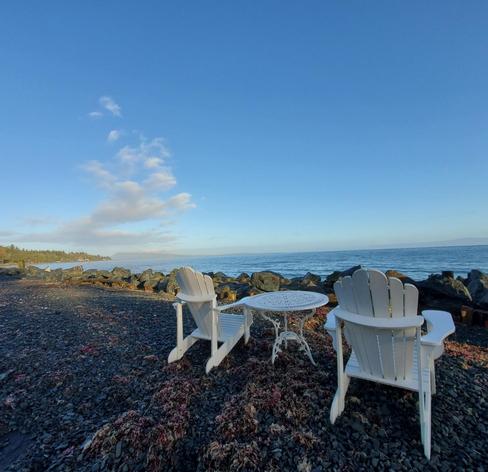 Two white Adirondack chairs and a round metal table are set on a rocky beach covered with seaweed. The scene captures a calm ocean beneath a clear blue sky, with a few clouds dispersed above. The shoreline is lined with green trees in the background, suggesting a peaceful coastal setting.