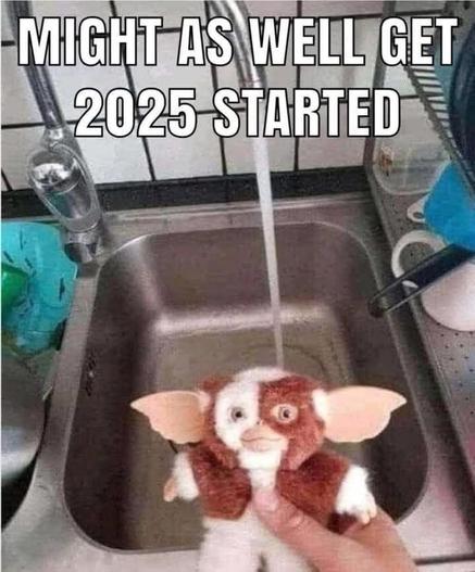 person holding a mogwai (pre-gremlin) infront of a running tap.

captioned: might as well get 2025 started