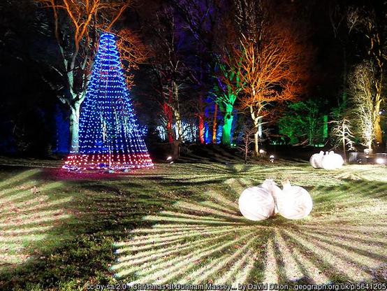 A night view of Christmas illuminations in an otherwise deserted town centre.  The real trees are floodlit orange, a cone of blue lights outlines a Christmas tree shape, and in the foreground glowing orbs are surrounded by a radial pattern of white lights
