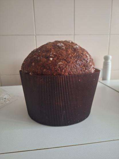 Fotografía de un panetone de Torreblanca que parece una magdalena gigante.