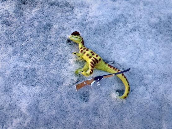 A green Dilophosaurus with brown spots lies in the snow, stunned. A Red Ryder BB gun lies across their tail after it was dropped.
