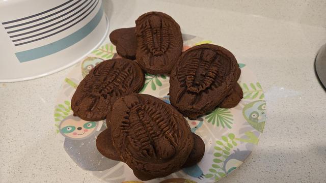 A plate of gingerbread trilobites.
