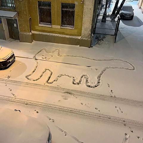 view from above looking down at an outline figure of a cat made by someone's footprints in the snow