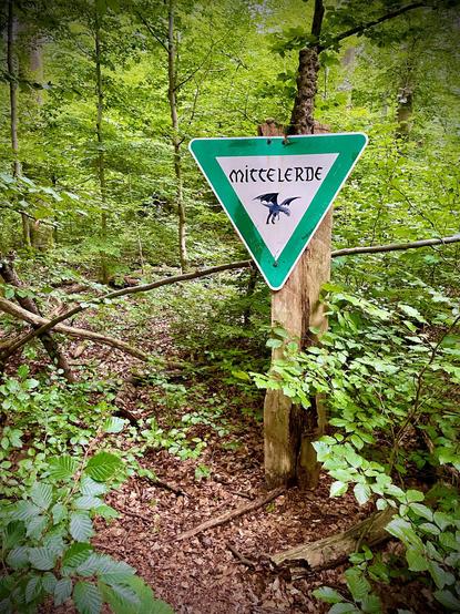 das bild im hochformat zeigt einen pfad, der sich im dichten wald verliert.
rechts am pfad ist ein dreieckiges schild mit grünem rand. auf dem schild steht „mittelerde“ und darunter ist ein fliegender drache abgebildet.