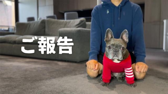【ご報告】今後の活動について