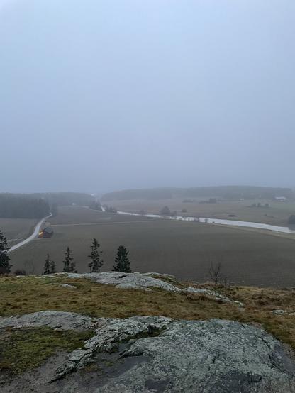 Aurajoki kaukaa ylhäältä kallion päältä nähtynä. Peltoa. Muutama kuusi.