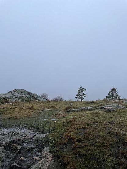 Linnavuoren laki.