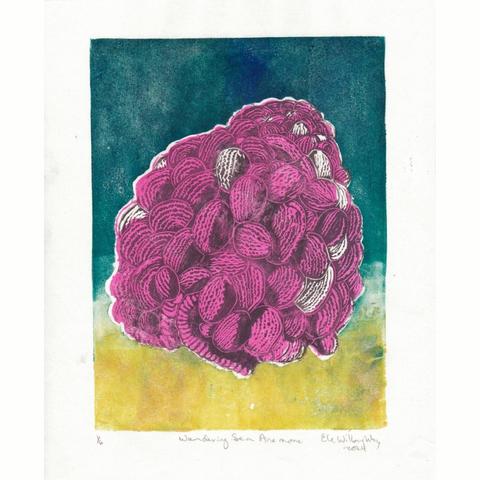 This is my hand-printed Lino block print of a wandering sea anemone (Phlyctenactis tuberculosa) on 8” x 10” Japanese mulberry paper. The anemone has been likened to a pile of baked beans; it appears like a jumble of mainly ovoid shapes in hot pink with some in white against a background which is a gradient of gold at the bottom to dark teal on top to indicate the seafloor under ocean. The texture and shadows on the animal are overprinted in grey.