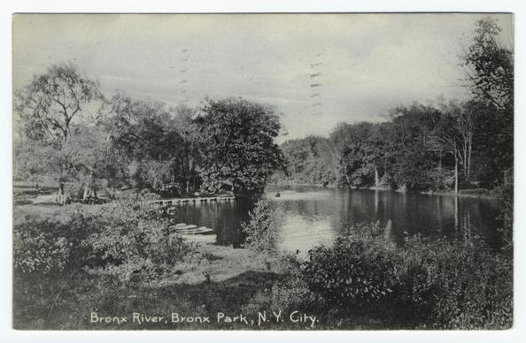 The black and white photograph depicts a tranquil scene of nature with lush trees surrounding still waters likely from the Bronx River in the vicinity of Bronx Park within New York City. There are several large tree trunks visible at various distances across the water, creating an impressionistic view that suggests depth into the park landscape. In the foreground on the left side, there appears to be a small cluster of people or figures near what seems like a dock or wooden platform extending over the riverbank. The grass and shrubbery are dense around this area, adding texture to the lower part of the image.

The sky is partly cloudy but allows enough light that highlights some areas of foliage above. Notably absent from the photograph's composition are any modern structures such as buildings, which could have been expected in a city park setting like Bronx Park in New York City. The absence suggests an older time period when urban parks were more naturalistic.

A text caption at the bottom left corner reads "Bronx River, Bronx Park, N.Y. City," indicating that this photograph captures a specific geographical location within New York's metropolitan area and dating it to likely be from a historical perspective rather than contemporary times due to its black-and-white format and style of presentation.