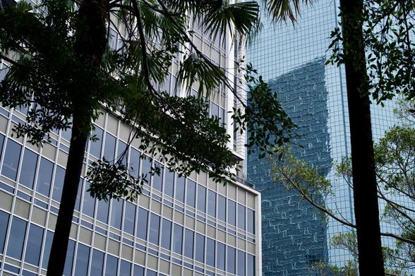 Photograph looking up through trees at tall city buildings in Sydney.  The mid-century building on the left is a tower of steel, blue and bronze windows and white tiles. On the right is a blue glass-windowed tower. Reflected in the blue windows is a third building.  The trees in the foreground soften the harsher edges of the buildings.