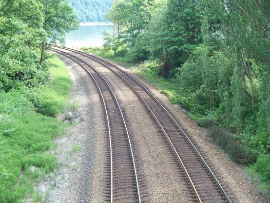 Twin train tracks surrounded by forest and a lake.