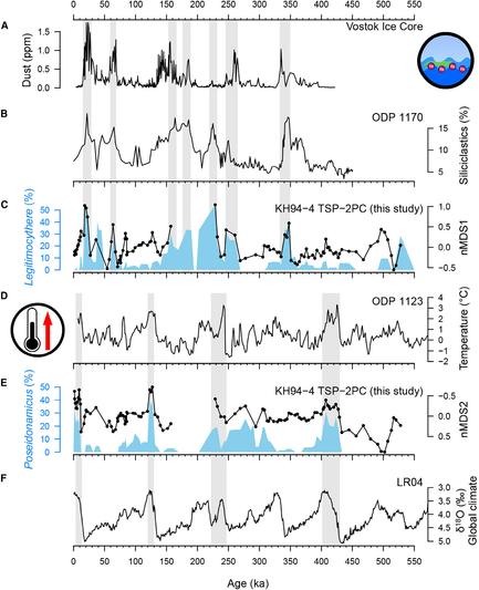 Southern Ocean faunal variability in comparison with key paleoclimatological and paleoceanographical proxy records
(A) Dust (ppm) record from the Vostok ice core, East Antarctica. Data from Petit et al. (B) Siliciclastic (%) record from ODP Site 1170 (2,704-m water depth), South Tasman Rise. Data from Nürnberg and Groeneveld. (C) Legitimocythere (%, blue polygon) and nMDS1 from this study. (D) Paleo-temperature record based on Mg/Ca in benthic foraminifera from ODP Site 1123 (3,290-m water depth), Chatham Rise. Data from Elderfield et al. (E) Poseidonamicus (%, blue polygon) and nMDS2 from this study. (F) The LR04 global oxygen isotopic stack.
Gray shadings annotate peak correspondence between proxies. Icons to visualize iron fertilization and temperature impacts on the Southern Ocean deep-sea ecosystem.