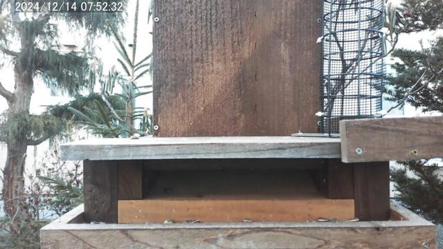 2024/12/27 野鳥の餌台 定時自動給餌 シジュウカラ・スズメ Automatic Bird Feeder