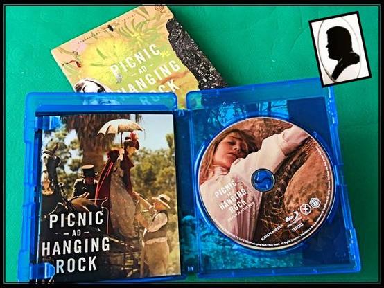 La foto ritrae l'interno del dvd del film con il depliant della pellicola e il disco.