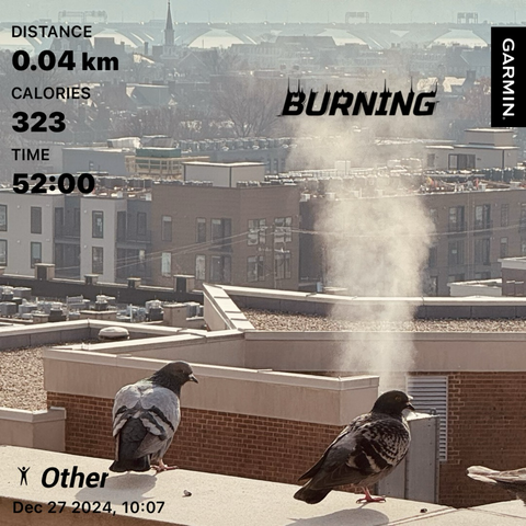 Photo of a pigeon on a roof with steam in the background. Garmin stats are superimposed.