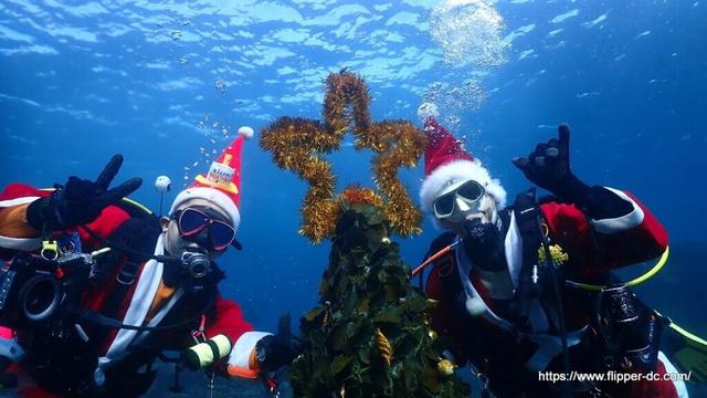 2024/12/26伊豆海洋公園　1日遅れのクリスマス、からの迎春に。　1日で２度おいしいツアーでした。　群馬県伊勢崎市のダイビングショップ