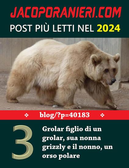 Banner parte di una infografica che conterrà i 10 post più letti dell'anno sul blog jacoporanieri.com. Post numero 3 - L'immagine di riferimento raffigura un orso ibrido dal manto bianco.