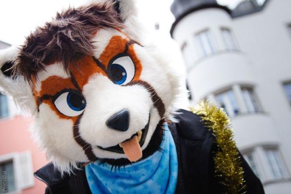 A closeup of me wearing my red panda Suit. Around my neck I wear a snowy blue scarf