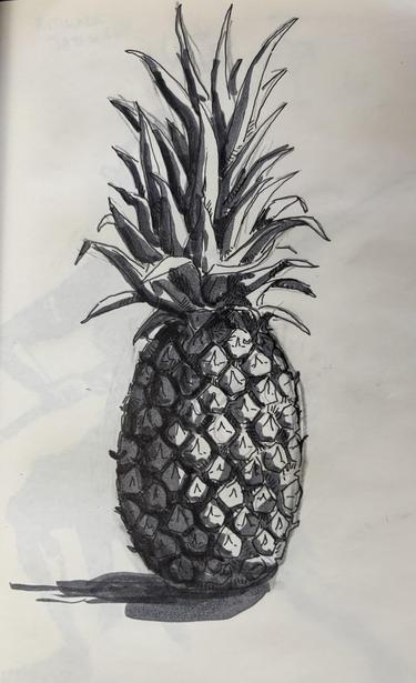 drawing of a pineapple