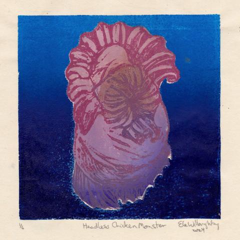 As described this is an 8” x 8” linocut print of a strange-looking sea cucumber called Enypniastes eximia, the swimming sea cucumber, the pink see-through fantasia or the headless chicken monster! The semi-transparent bulbous creature with bifurcated tentacles, large anterior sail and visible intestines ranges from light pink to reddish-brown surrounded by water in a gradient of dark to lighter blue from bottom up.