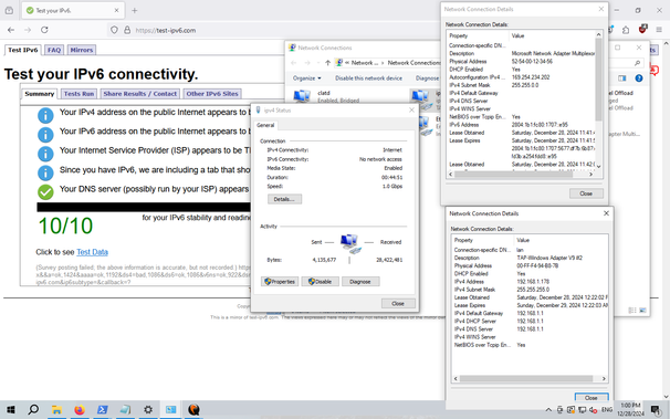 screenshot of windows, browser is open on test-ipv6.com, shows VM has both ipv4 and ipv6. details for some network interfaces are shown, with a bridge having ipv6 and a tap adapter having ipv4. multiple qemus can be seen on the taskbar.