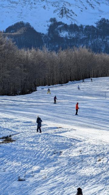 Sciatori su una pista da sci, con alberi spoglio ai lati. Uno sciatore vestito di rosso spicca tra gli altri.