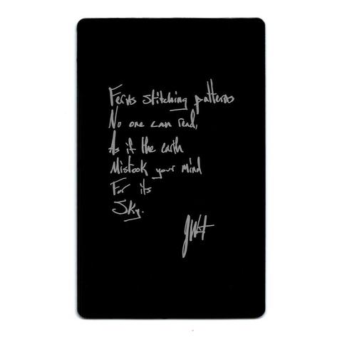 A minimalistic black surface engraved with silver text in a flowing, handwritten style. The poem reads:
"Ferns stitching patterns
no one can read,
as if the earth
mistook your mind
for its
sky."
The layout is simple yet evocative, with the handwritten font lending a personal touch. The engraving reflects light, creating a dynamic visual experience. The poem deepens the artwork's narrative, evoking themes of unreadable complexity, the relationship between human thought and nature, and an almost celestial perception of the mind.