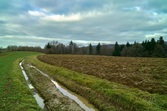 Heavily overcast sky over agricultural landscape. Only fragments of blue between the clouds. In the lower part of the frame, a muddy road with ruts and water, that disappears into the forest. On the right side of the road is a dark brown ploughed field. On the left is a green strip of emerging grain. Between the sky and the ground a narrow strip of forest, behind which a small hill, also forested, is visible.