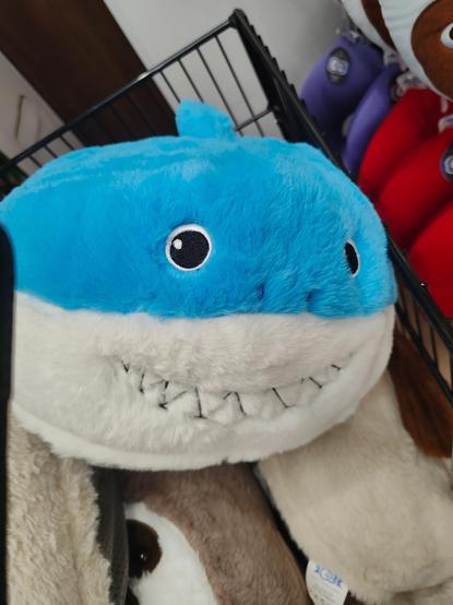 Shark slippers smiling
